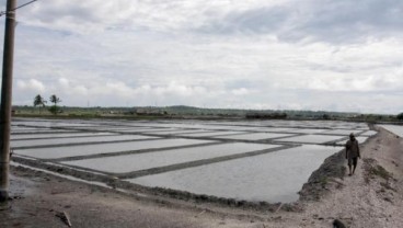 PT Garam Rampungkan Lelang Pengadaan impor
